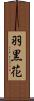 羽黒花 Scroll