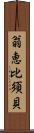 翁恵比須貝 Scroll