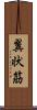 翼状筋 Scroll