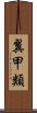 翼甲類 Scroll