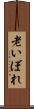 老いぼれ Scroll