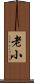 老小 Scroll