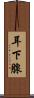 耳下腺 Scroll