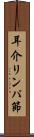 耳介リンパ節 Scroll