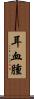 耳血腫 Scroll