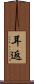 耳返 Scroll