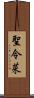 聖令菜 Scroll