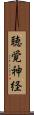 聴覚神経 Scroll