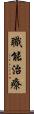 職能治療 Scroll