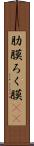 肋膜 Scroll