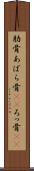 肋骨 Scroll