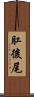 肛後尾 Scroll