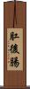 肛後腸 Scroll