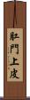 肛門上皮 Scroll