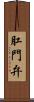 肛門弁 Scroll