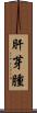 肝芽腫 Scroll