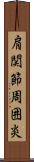 肩関節周囲炎 Scroll