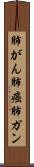 肺がん Scroll