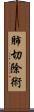 肺切除術 Scroll