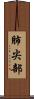 肺尖部 Scroll