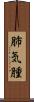 肺気腫 Scroll