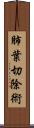 肺葉切除術 Scroll