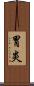 胃炎 Scroll