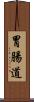 胃腸道 Scroll