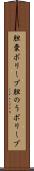 胆嚢ポリープ Scroll
