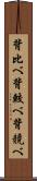 背比べ Scroll
