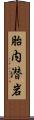 胎内潜岩 Scroll