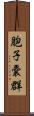 胞子嚢群 Scroll