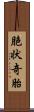 胞状奇胎 Scroll