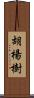 胡楊樹 Scroll