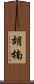 胡楠 Scroll