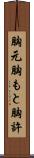 胸元 Scroll