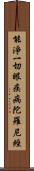 能淨一切眼疾病陀羅尼經 Scroll