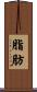 脂肪 Scroll
