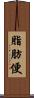 脂肪便 Scroll