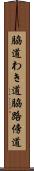 脇道 Scroll