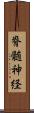 脊髄神経 Scroll