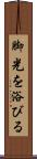 脚光を浴びる Scroll