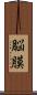 脳膜 Scroll