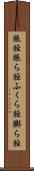 脹脛 Scroll