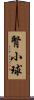 腎小球 Scroll