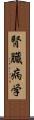 腎臓病学 Scroll