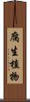 腐生植物 Scroll