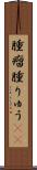 腫瘤 Scroll