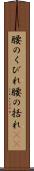 腰のくびれ Scroll