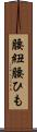 腰紐 Scroll